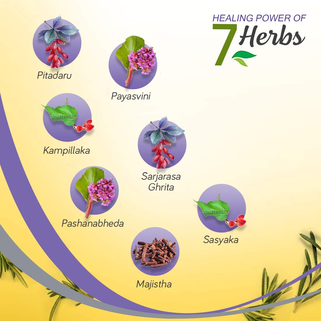 Krack Heel Repair, Ayurvedic Foot care cream, 25 Gm, Pack of 2