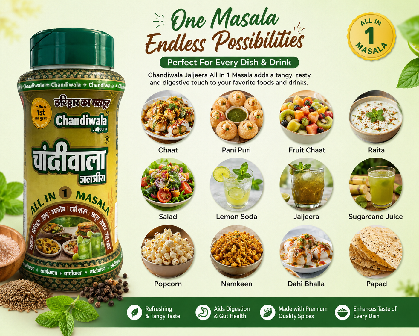Chandiwala Jaljeera All in 1 Masala | Premium Digestive Spice Mix for Chaat, Fruits, Drinks & Snacks | 100g